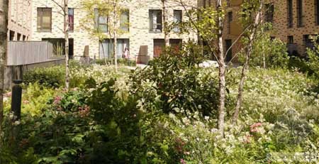 英國(guó)St Andrews住宅花園